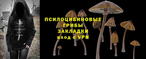 прущие грибы Баксан