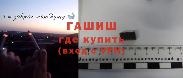 прущие грибы Баксан