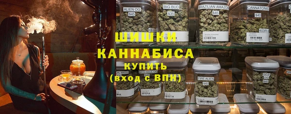 прущие грибы Баксан
