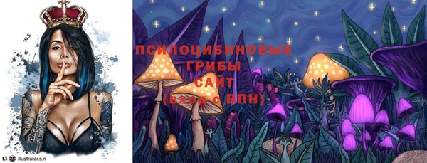 прущие грибы Баксан