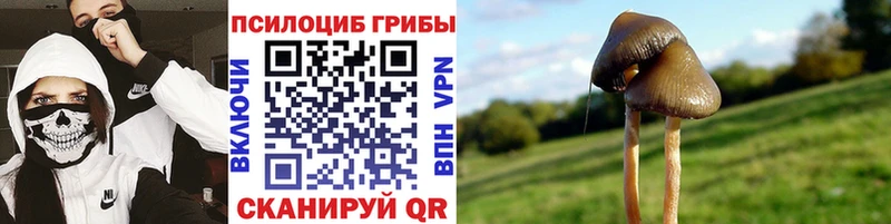 сколько стоит Рыбинск Галлюциногенные грибы ЛСД
